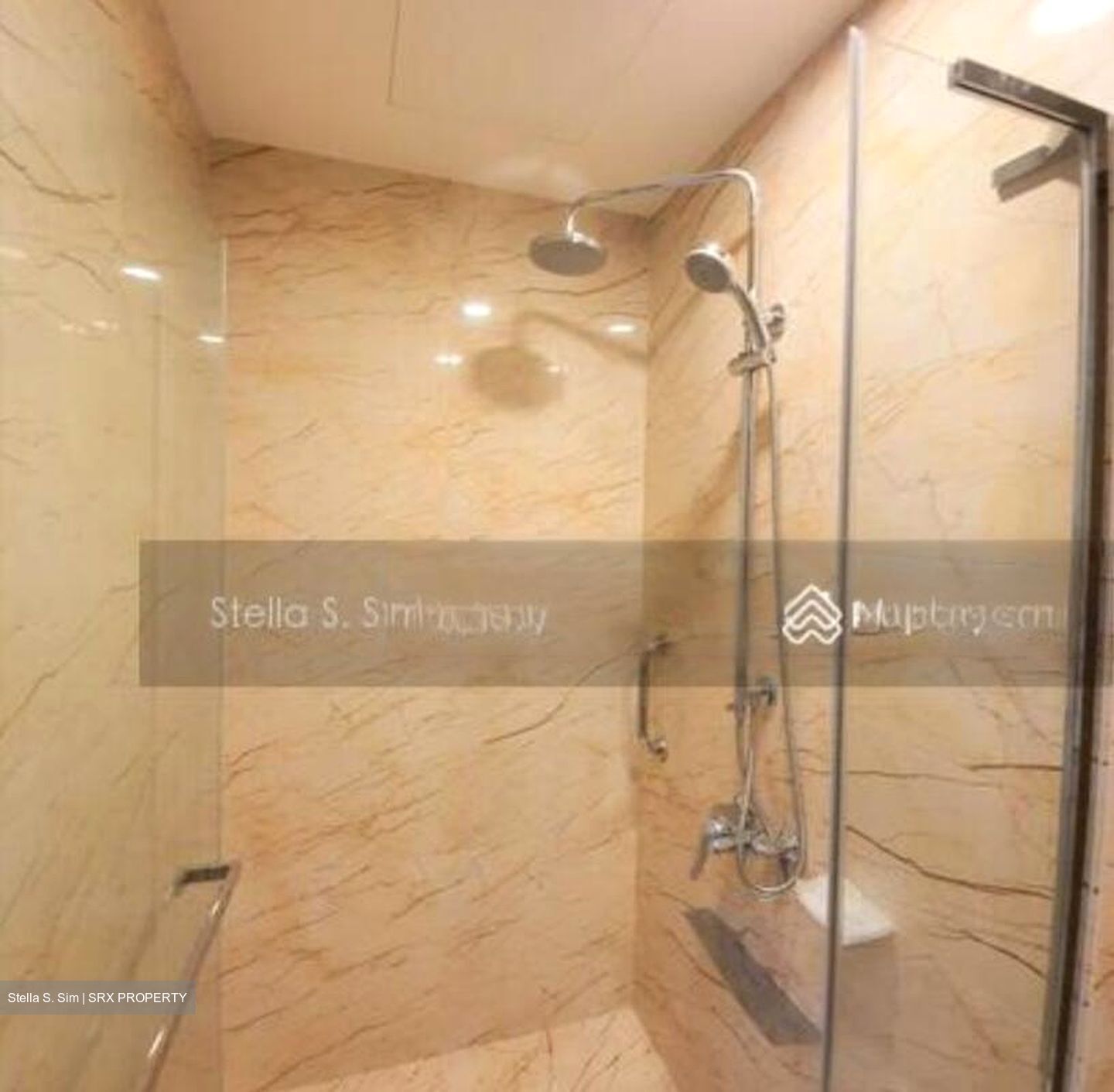 Queens Peak (D3), Condominium #459901201
